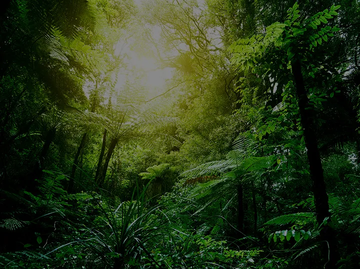 社会に寄り添う価値創造