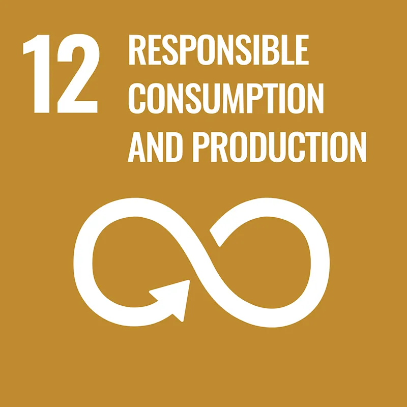 SDGs 目標12 つくる責任つかう責任