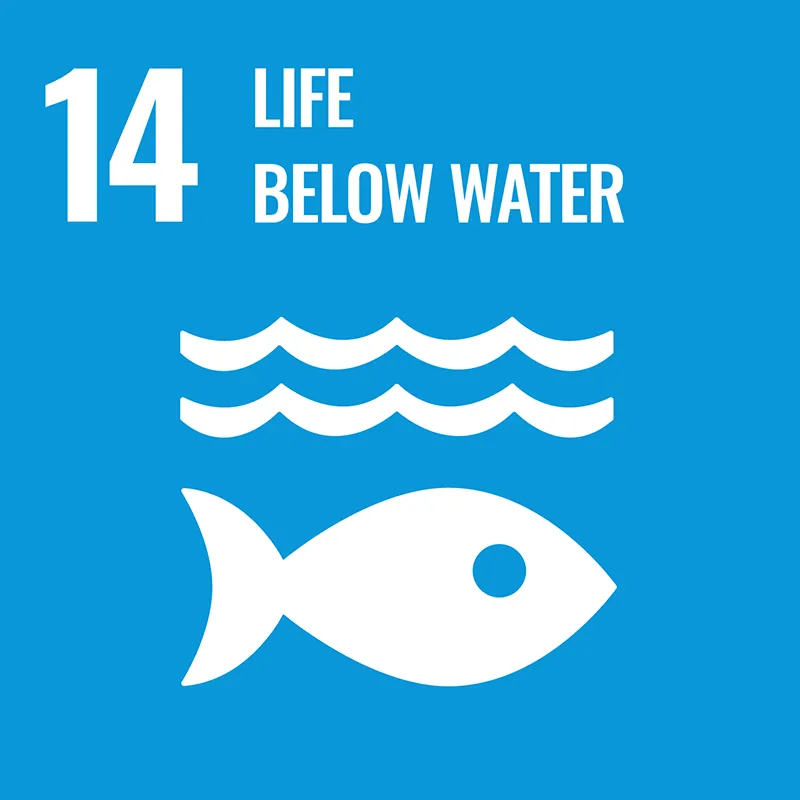 SDGs 目標14 海の豊かさを守ろう